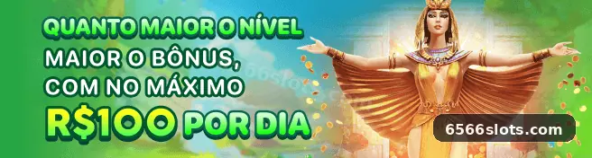 6566 Plataforma - 6566 3