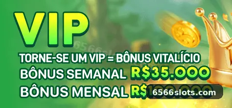 6566 visual 2